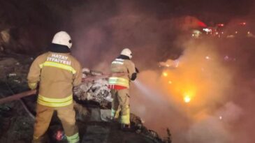 Arsuz’da çıkan yangın söndürüldü