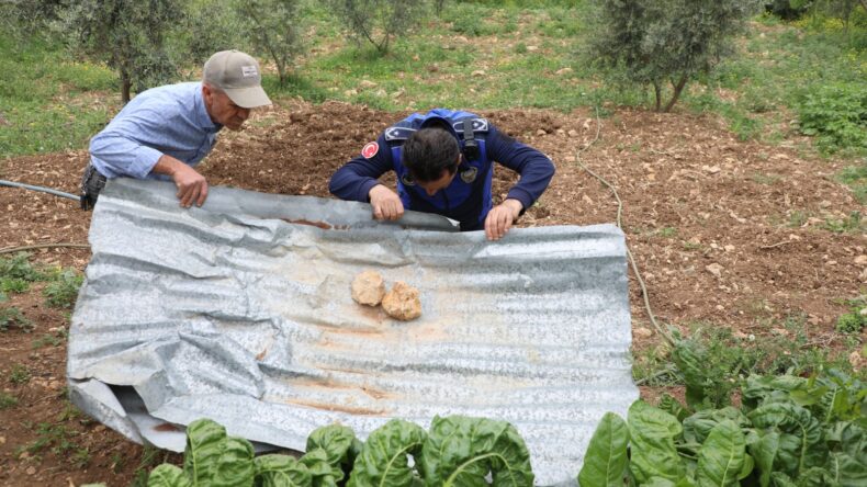 HATAY’DA SU İSRAFINA GEÇİT YOK