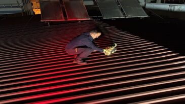 Çatıda mahsur kalan kedi kurtarıldı