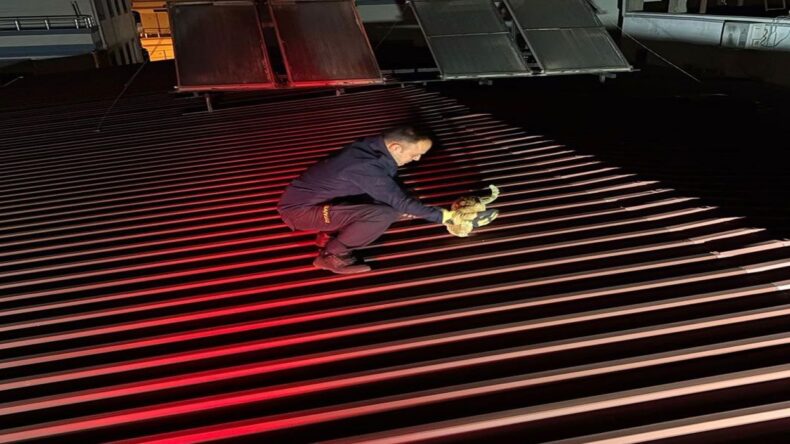 Çatıda mahsur kalan kedi kurtarıldı