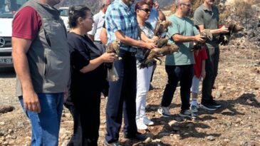 YARALI KUŞLAR TEDAVİLERİNİN ARDINDAN DOĞAYA SALINDI