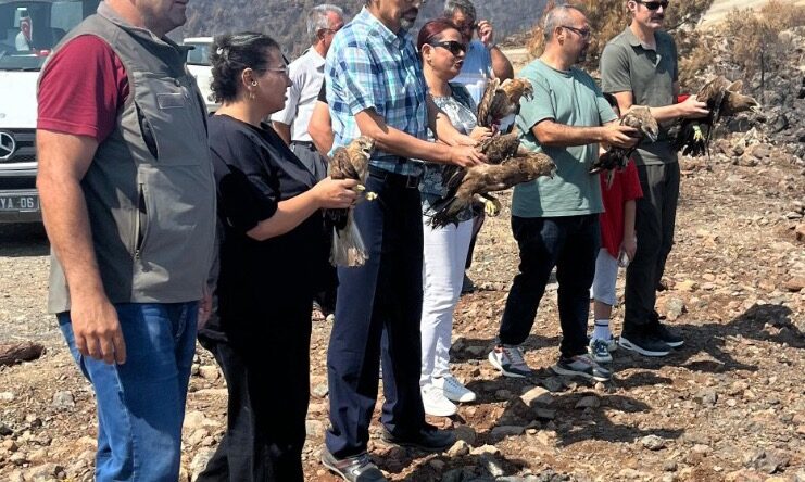 YARALI KUŞLAR TEDAVİLERİNİN ARDINDAN DOĞAYA SALINDI