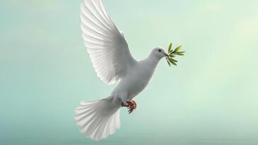 BAŞKAN ÖNTÜRK’TEN RAS EL-SENİ MESAJI