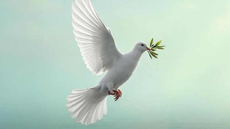 BAŞKAN ÖNTÜRK’TEN RAS EL-SENİ MESAJI