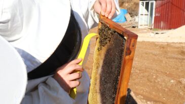 AKADEMİ HATAY KURSLARI MESLEK KAZANDIRMAYA DEVAM EDİYOR