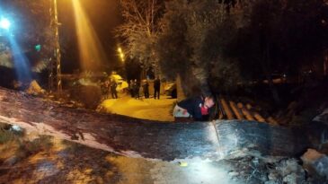 DEFNE’DE FIRTINADA DEVRİLEN AĞACA EKİPLERDEN MÜDAHALE