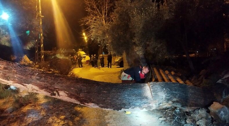 DEFNE’DE FIRTINADA DEVRİLEN AĞACA EKİPLERDEN MÜDAHALE