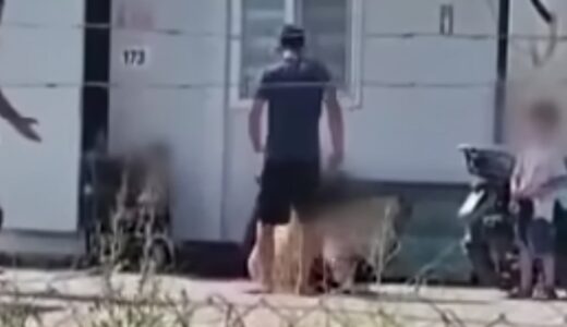 HATAY’DA EŞİNE KESİCİ ALETLE SALDIRAN ŞAHIS TUTUKLANDI