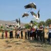 HATAY’DA TEDAVİLERİ TAMAMLANAN 22 KUŞ DOĞAYA SALINDI