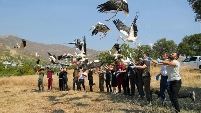 HATAY’DA TEDAVİLERİ TAMAMLANAN 22 KUŞ DOĞAYA SALINDI